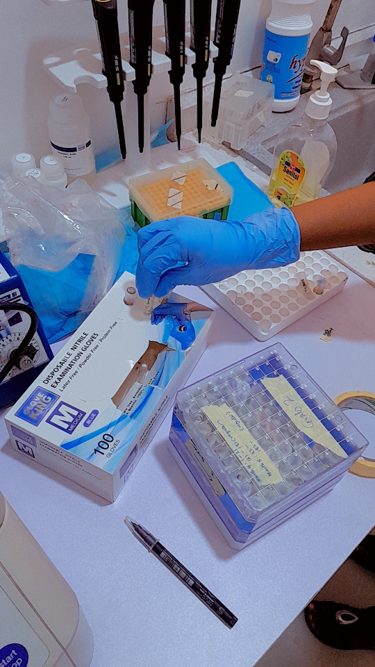 Affy in the lab